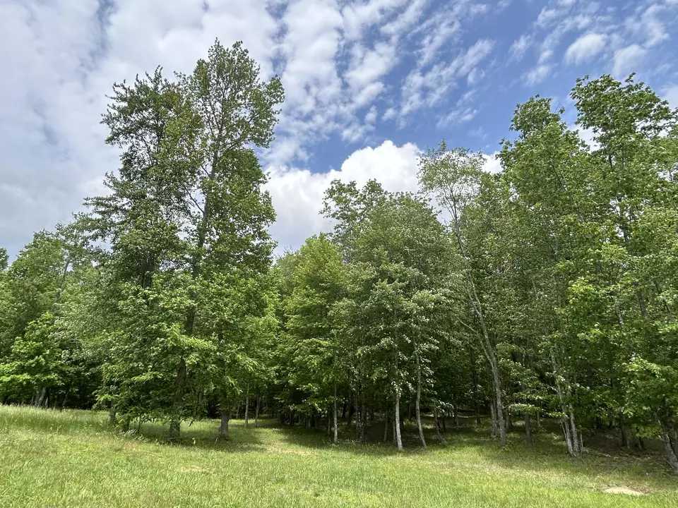  284 Jasper Creek Ct #-239, Jasper, TN 37347 photo 16