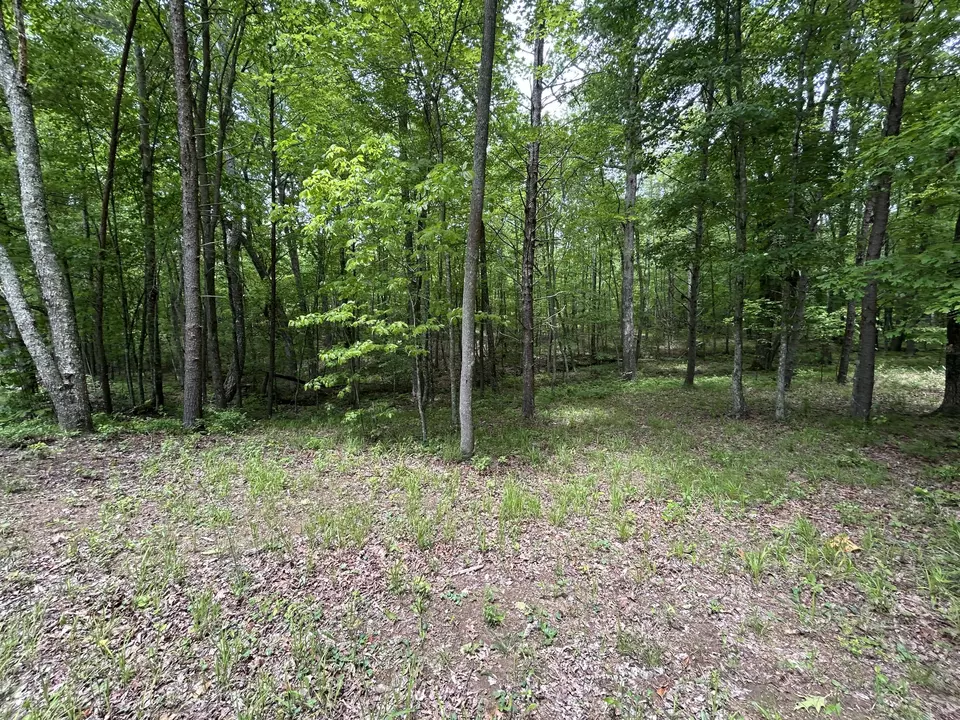  284 Jasper Creek Ct #-239, Jasper, TN 37347 photo 6