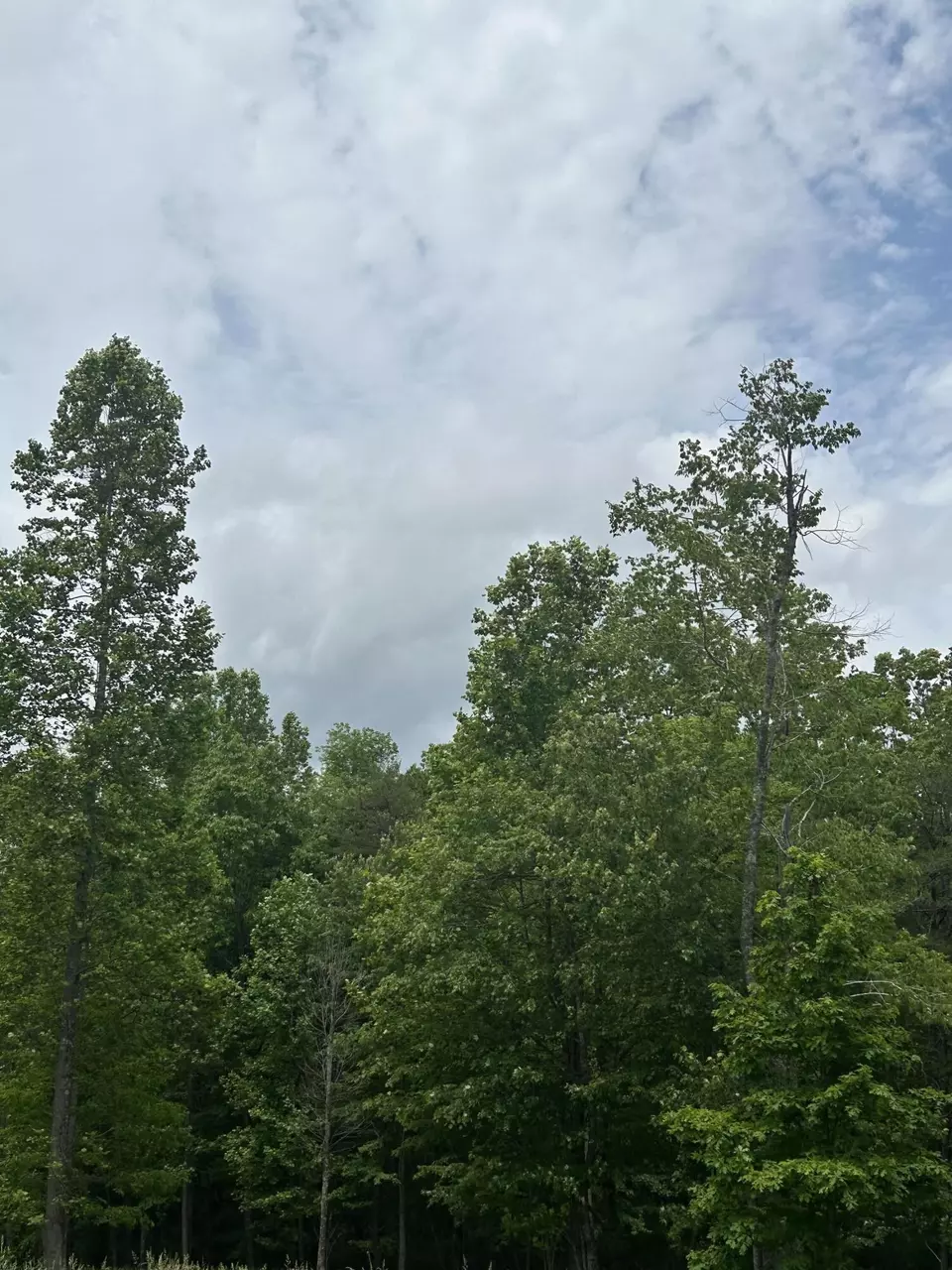  284 Jasper Creek Ct #-239, Jasper, TN 37347 photo 19