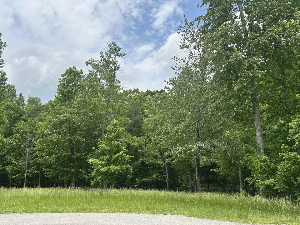  284 Jasper Creek Ct #-239, Jasper, TN 37347 photo 21