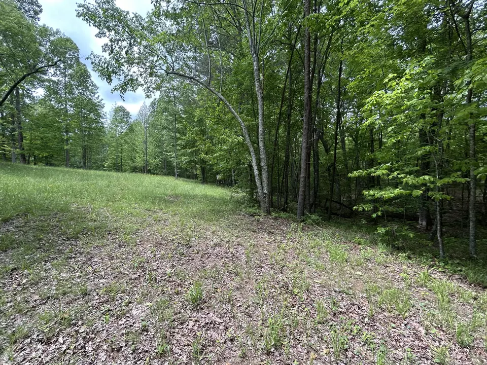  284 Jasper Creek Ct #-239, Jasper, TN 37347 photo 7