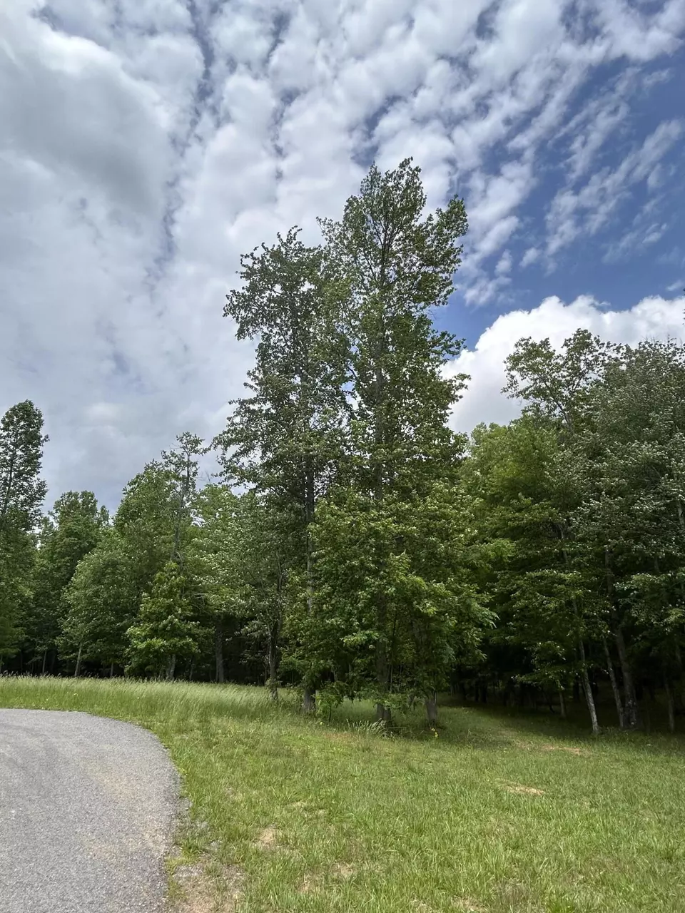  284 Jasper Creek Ct #-239, Jasper, TN 37347 photo 18
