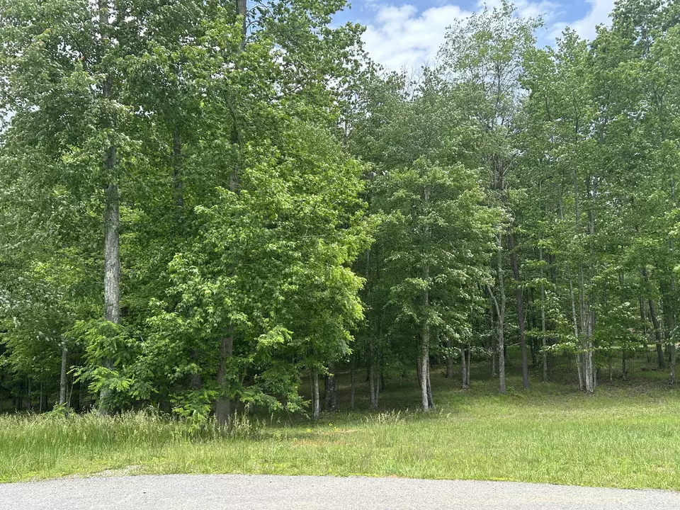  284 Jasper Creek Ct #-239, Jasper, TN 37347 photo 22