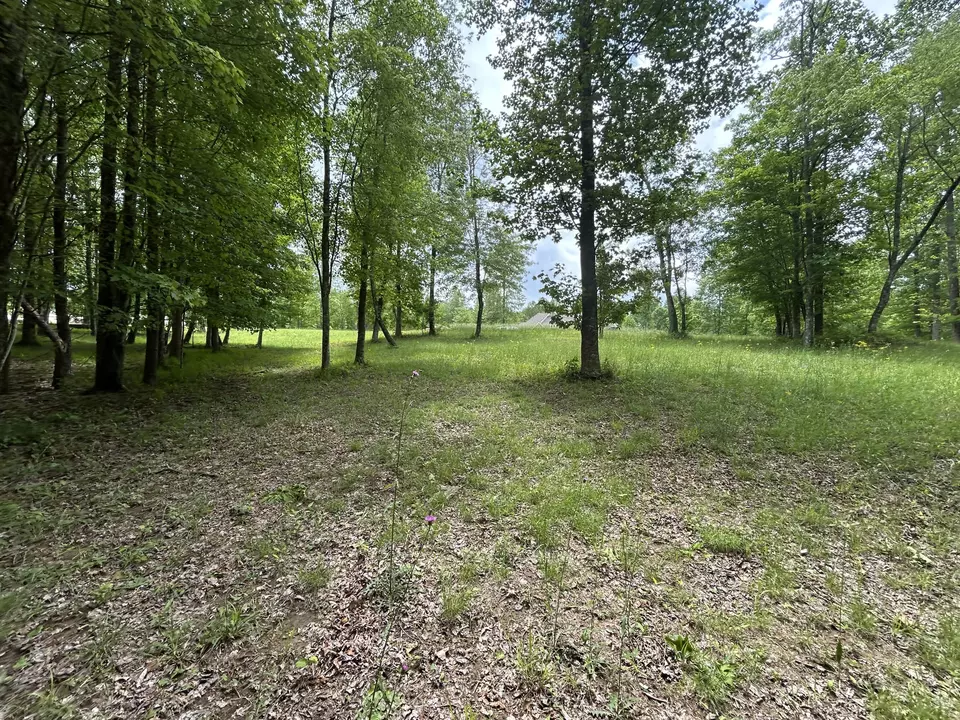  284 Jasper Creek Ct #-239, Jasper, TN 37347 photo 9
