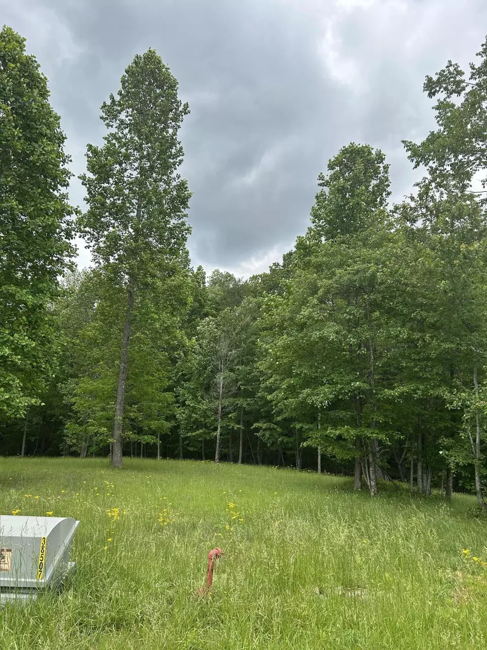  284 Jasper Creek Ct #-239, Jasper, TN 37347 photo 2