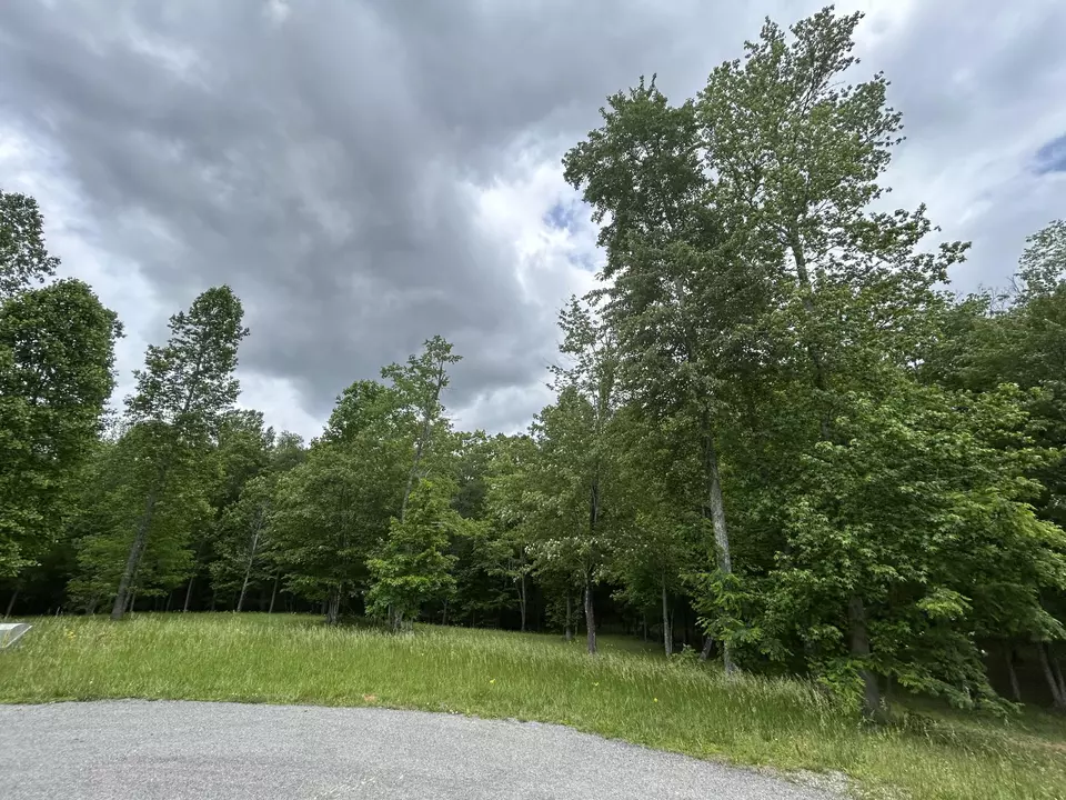  284 Jasper Creek Ct #-239, Jasper, TN 37347 photo 4