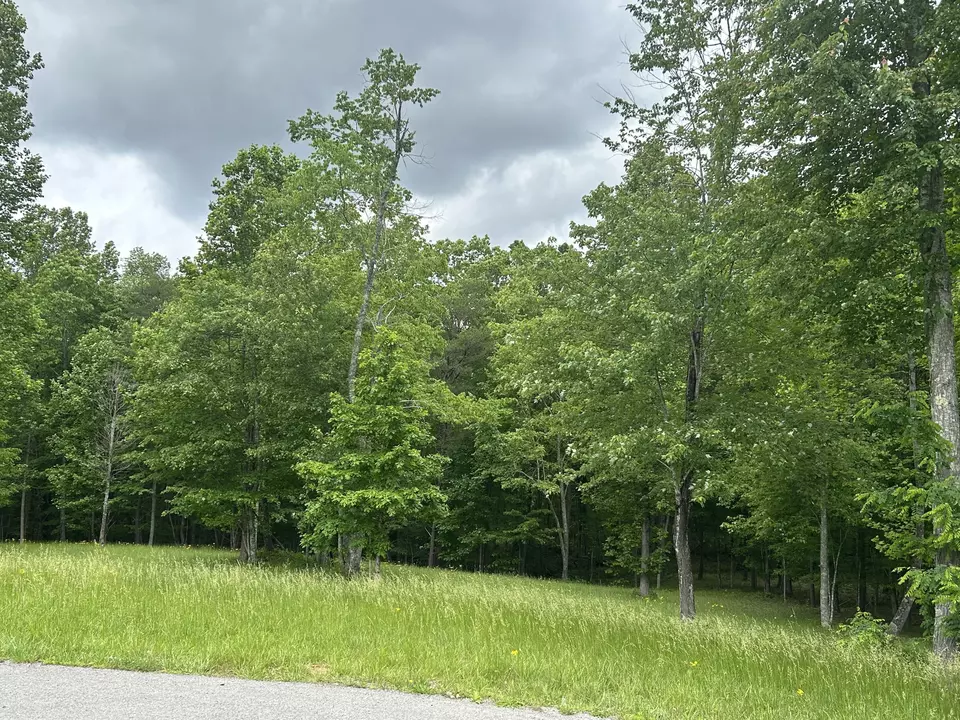  284 Jasper Creek Ct #-239, Jasper, TN 37347 photo 5