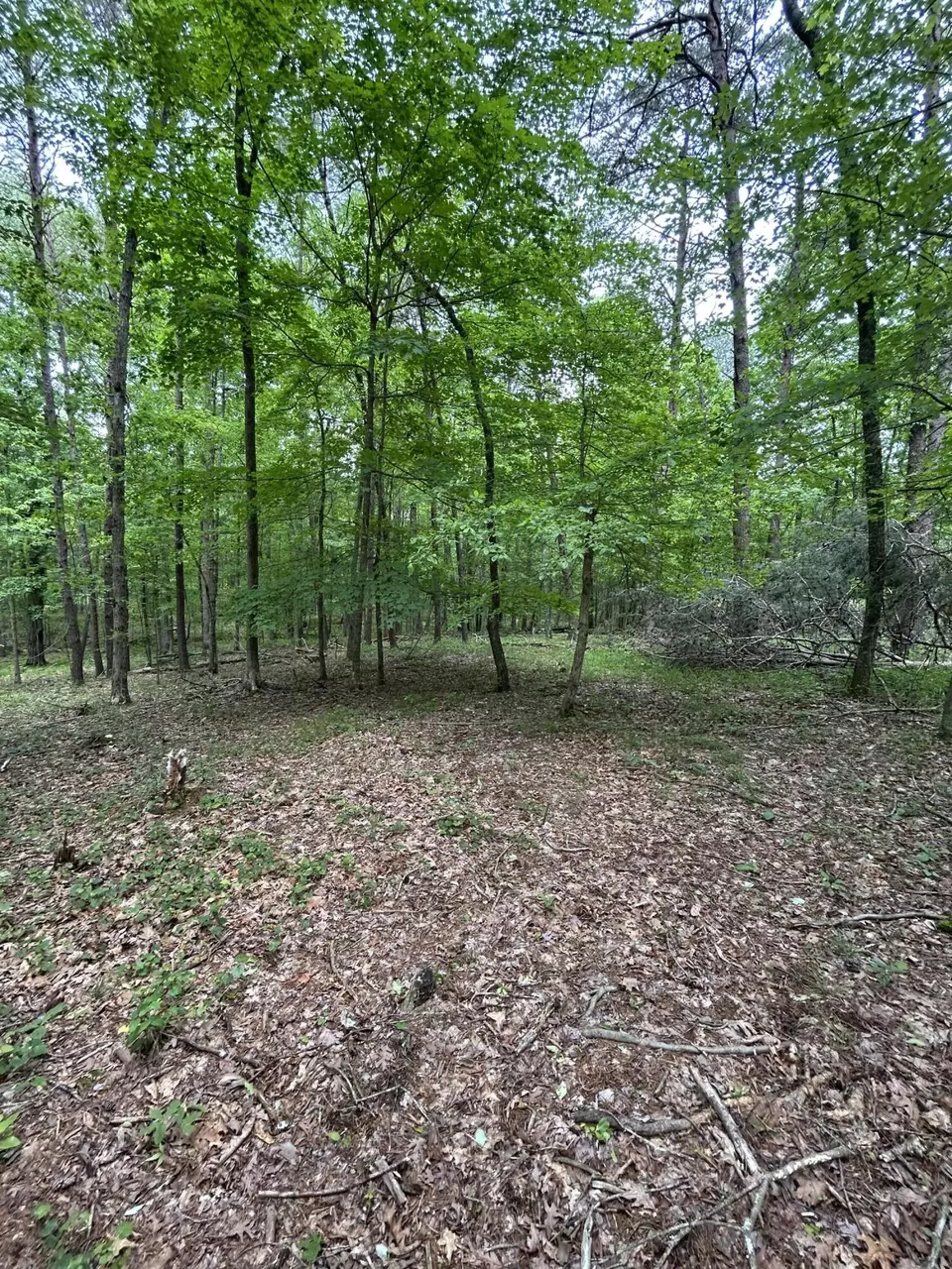  284 Jasper Creek Ct #-239, Jasper, TN 37347 photo 11