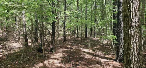 0 Sunset Rd #533, Spencer, TN 38585
