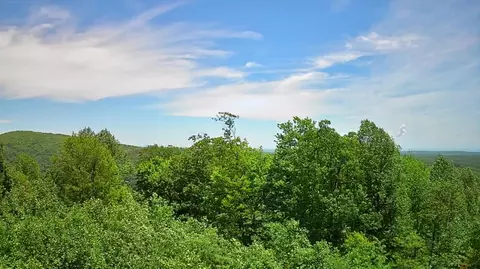 0 Briley Rd #6, Spring City, TN 37381