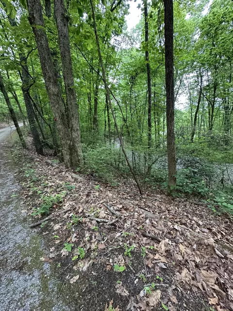 000 Wheeler Ave, Chattanooga, TN 37406