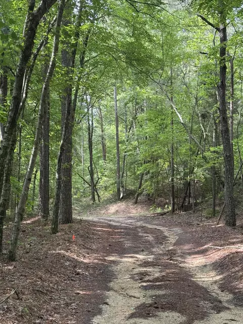 0 Colbert Hollow Rd, Rock Spring, GA 30739