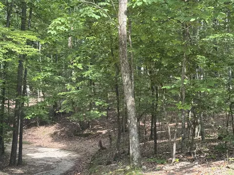 0 W Watts Rd, Ringgold, GA 30736