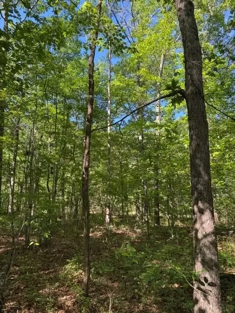 5 85 Genesis Ln, Tracy City, TN 37387