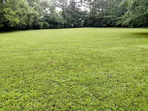 Exterior - 452 Davenport Rd, Resaca, GA 30735 photo 8 of 13