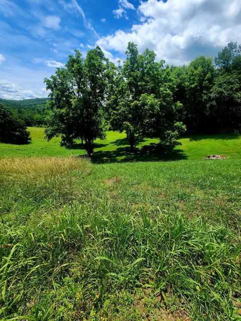 0 Goodfield Ter #25, Decatur, TN 37322