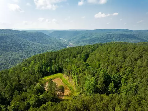 0 Split Rail Way #LOT 1379, Guild, TN 37340 photo 13