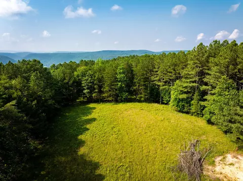 0 Split Rail Way #LOT 1379, Guild, TN 37340 photo 9