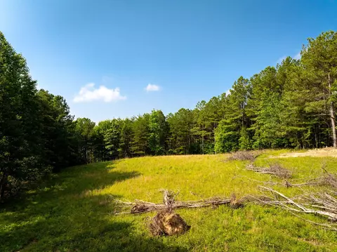 0 Split Rail Way #LOT 1379, Guild, TN 37340 photo 11