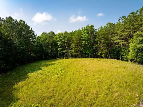 0 Split Rail Way #LOT 1379, Guild, TN 37340 photo 10