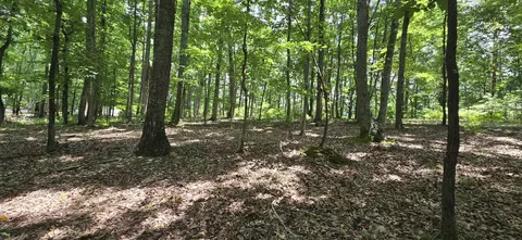 300 Canaan Ln, Rising Fawn, GA 30738
