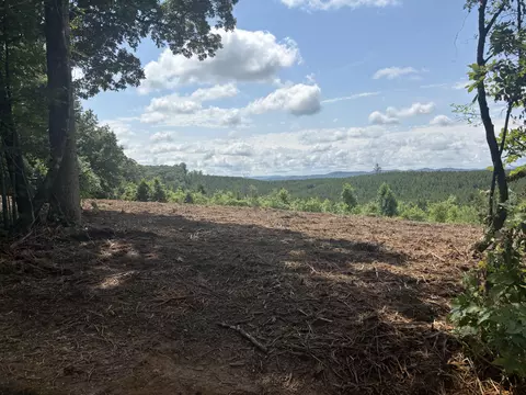 2 Lake Rd, Spring City, TN 37381