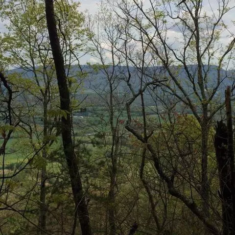 0 Windridge Dr #LOT 25, Dunlap, TN 37327