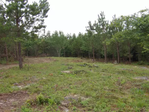 03 Summer City Rd, Evensville, TN 37332