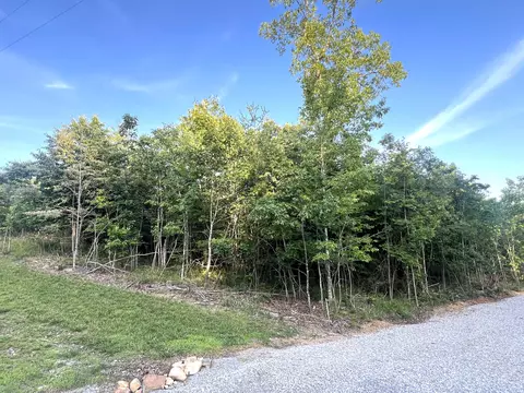 0 Salolee Cir #LOT 247, South Pittsburg, TN 37380