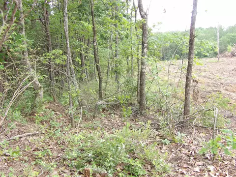 lot7 Hughes Rd #7, Pikeville, TN 37332