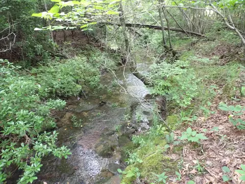 lot9 Hughes Cemetery Rd #9, Evensville, TN 37332