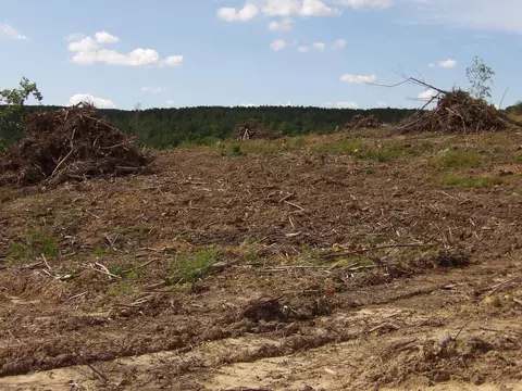 lot13 Summer City Rd, Evensville, TN 37332