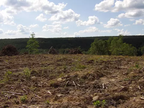 lot14 Summer City Rd, Evensville, TN 37332