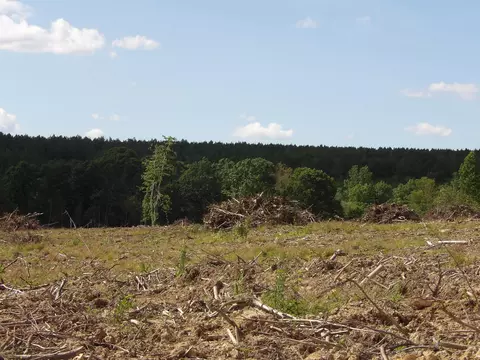 lot15 Summer City Rd, Evensville, TN 37332