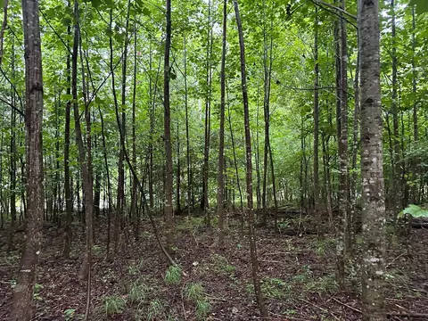 Lot 8 Saw Mill Road #8, Palmer, TN 37365