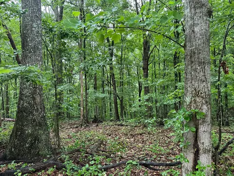Lot 11 Mountain Top Drive #11, Palmer, TN 37365