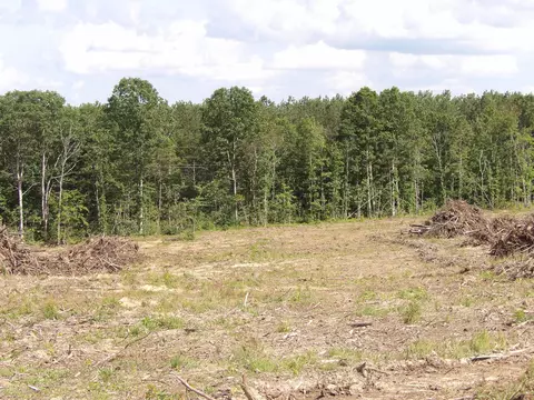 lot17 Summer City Rd, Evensville, TN 37332