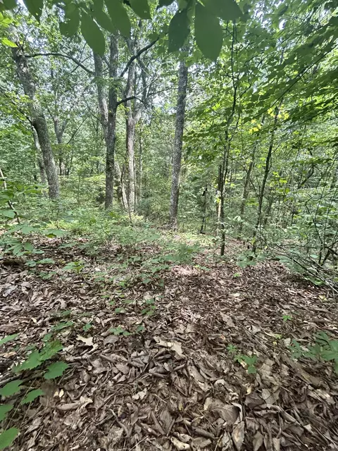 0 Sutton Dr #LOT 6, Ringgold, GA 30736