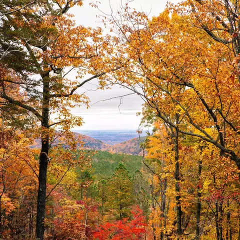 0 Worley Rd #LOT 14, Soddy Daisy, TN 37379