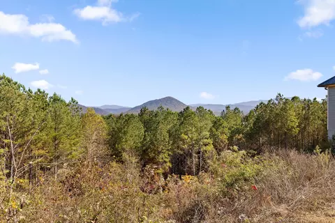 161 155 Cherokee Ridge Dr, Ocoee, TN 37361 photo 59