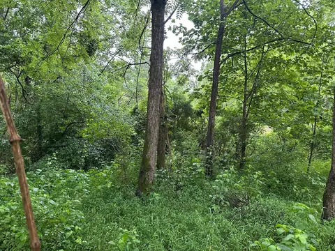 Lot 3 Saw Mill Road #3, Palmer, TN 37365