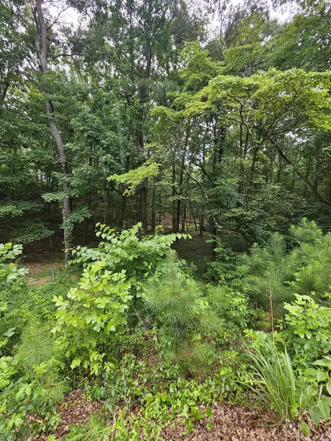 0 Pineywood Dr, Ringgold, GA 30736