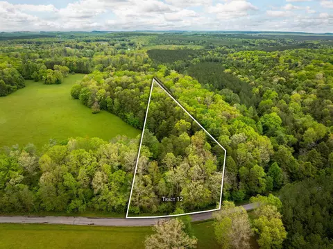 0 Blaine Smith Rd #TRACT 12, Graysville, TN 37338