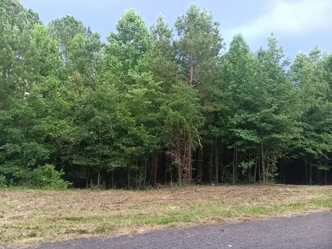 lot S 34 Washboard Rd, Old Fort, TN 37362