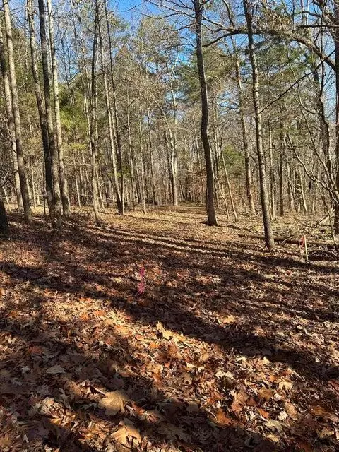 lot2 Lower River Rd NW, Charleston, TN 37310