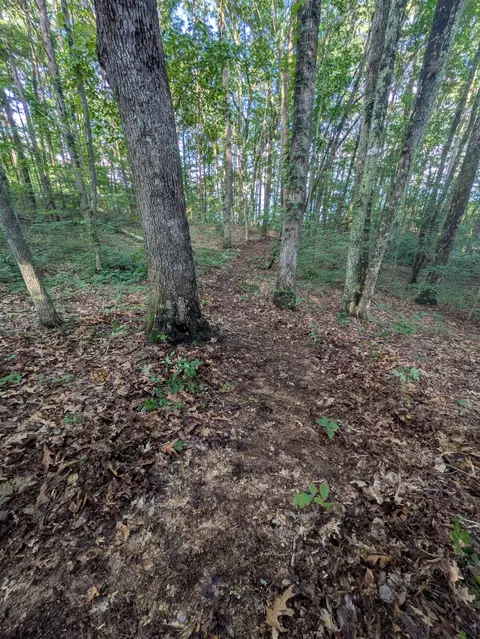 lot18 Windridge Dr, Dunlap, TN 37327 photo 11