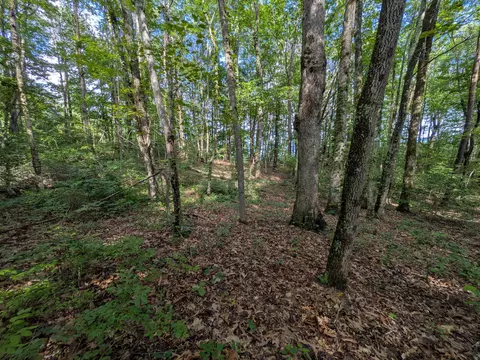 lot18 Windridge Dr, Dunlap, TN 37327 photo 3