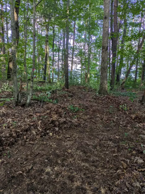 lot18 Windridge Dr, Dunlap, TN 37327 photo 15