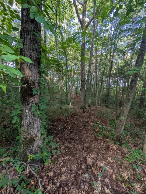 lot18 Windridge Dr, Dunlap, TN 37327 photo 10