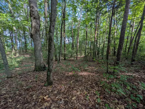 lot18 Windridge Dr, Dunlap, TN 37327 photo 2